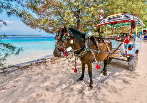 traditional transport in gili lombok